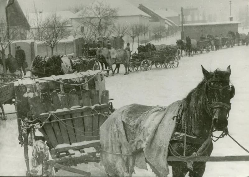 Lovaskocsi felvonulás