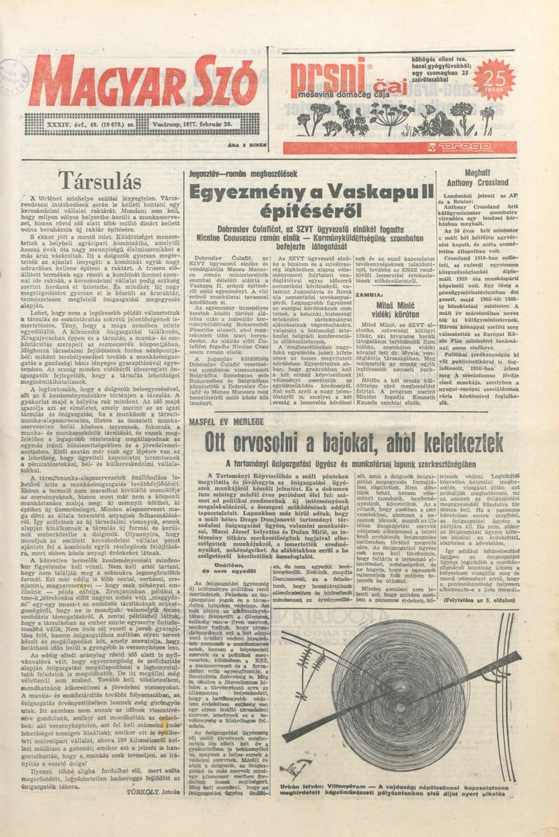 Magyar Szó, 34. évf. 1977. február 20. 49. sz.