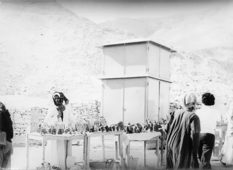 A Fehér család Egyiptomban