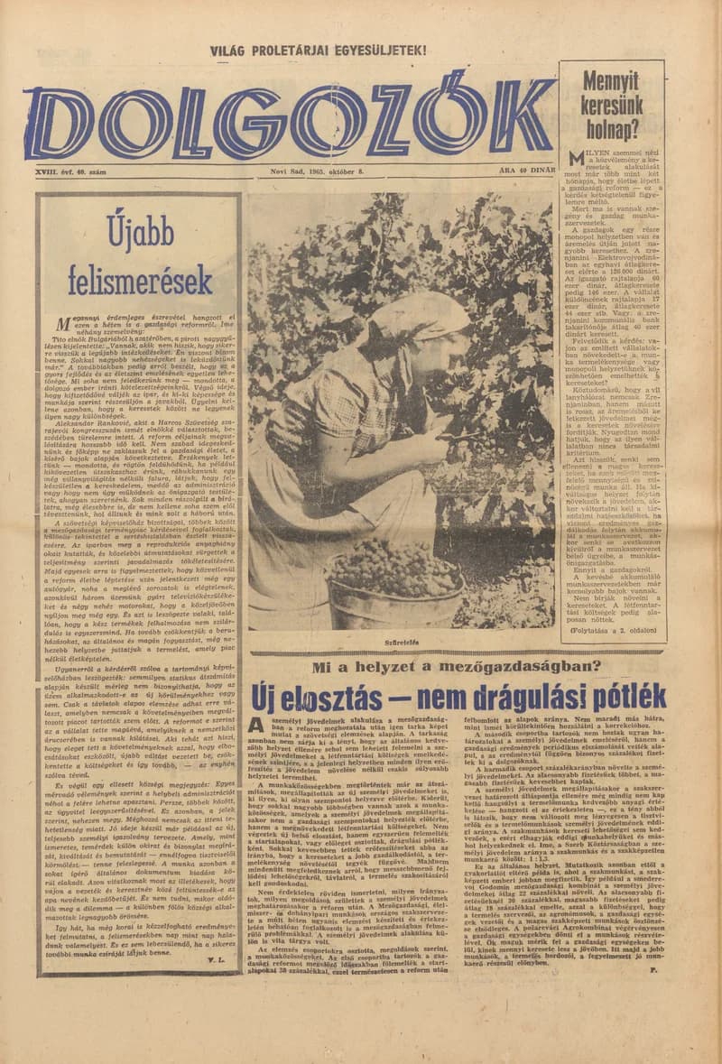 Dolgozók, 19. évf. 1965. október 8. 40. sz.