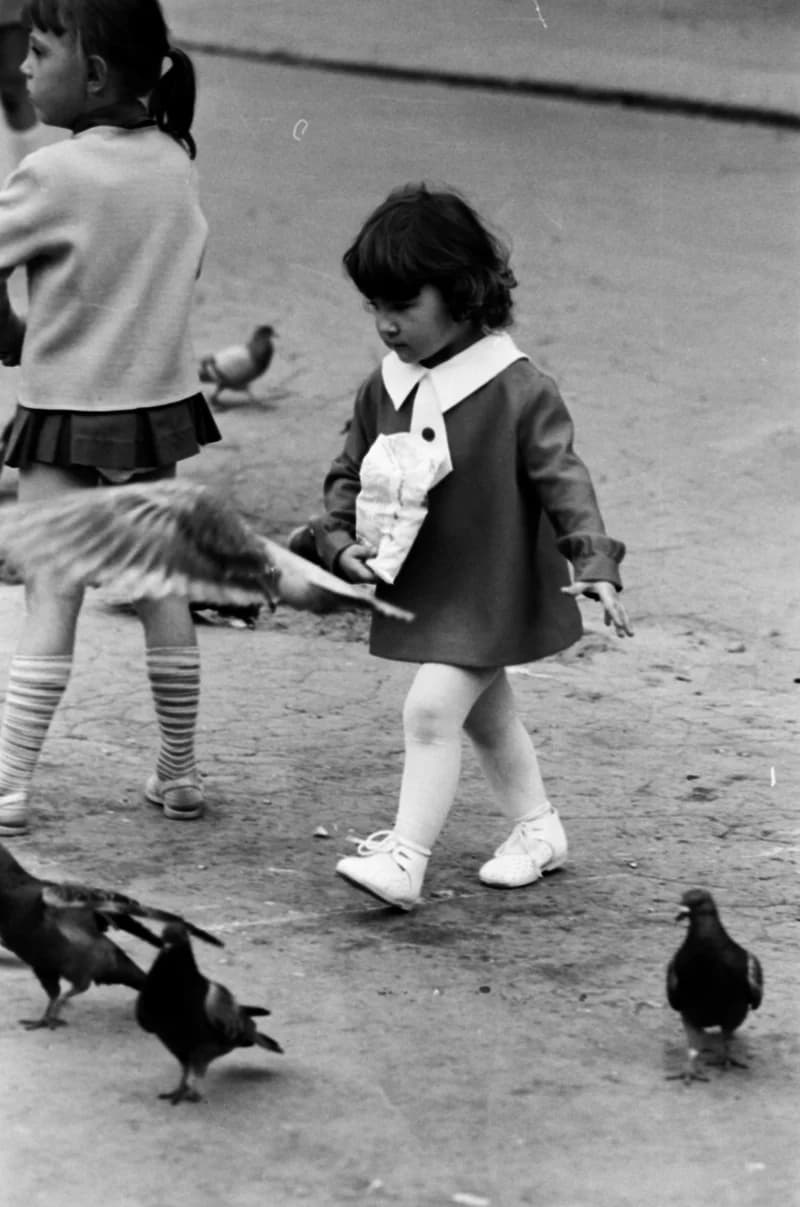 Gyerekek Újvidék utcáin