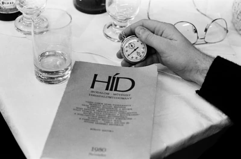 Bayer aszpirin - az Újvidéki Színház előadása