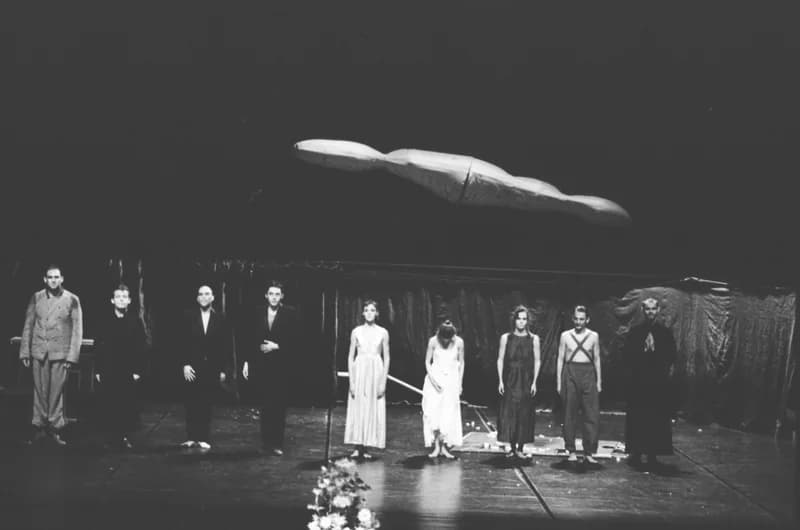 A Párizsi Jel Színház előadása: A hét rinocéroszbőr