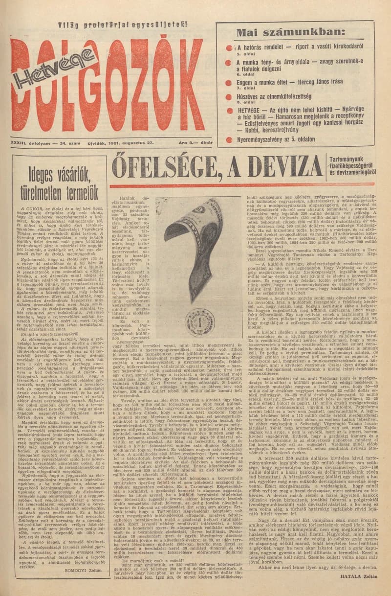 Dolgozók, 35. évf. 1981. augusztus 27. 34. sz.