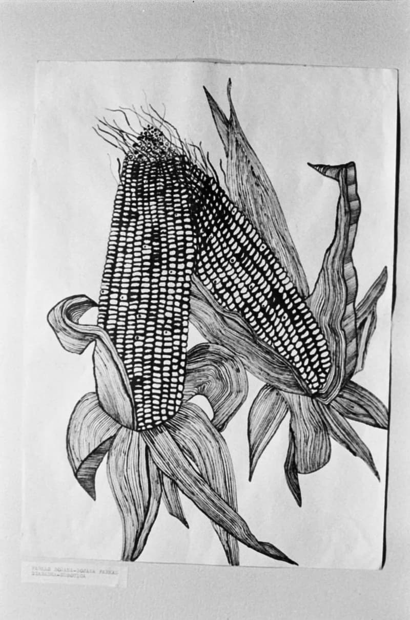 Középiskolások Művészeti Vetélkedője '84