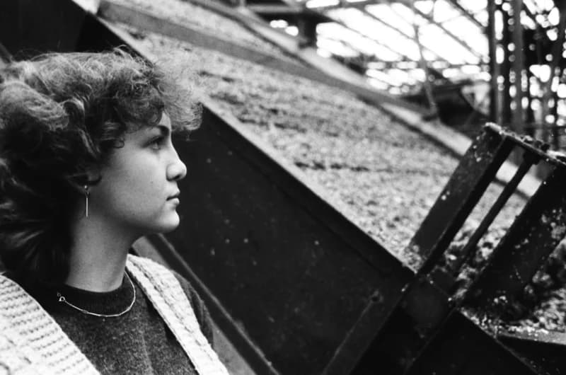 Vitamin Paprikagyár