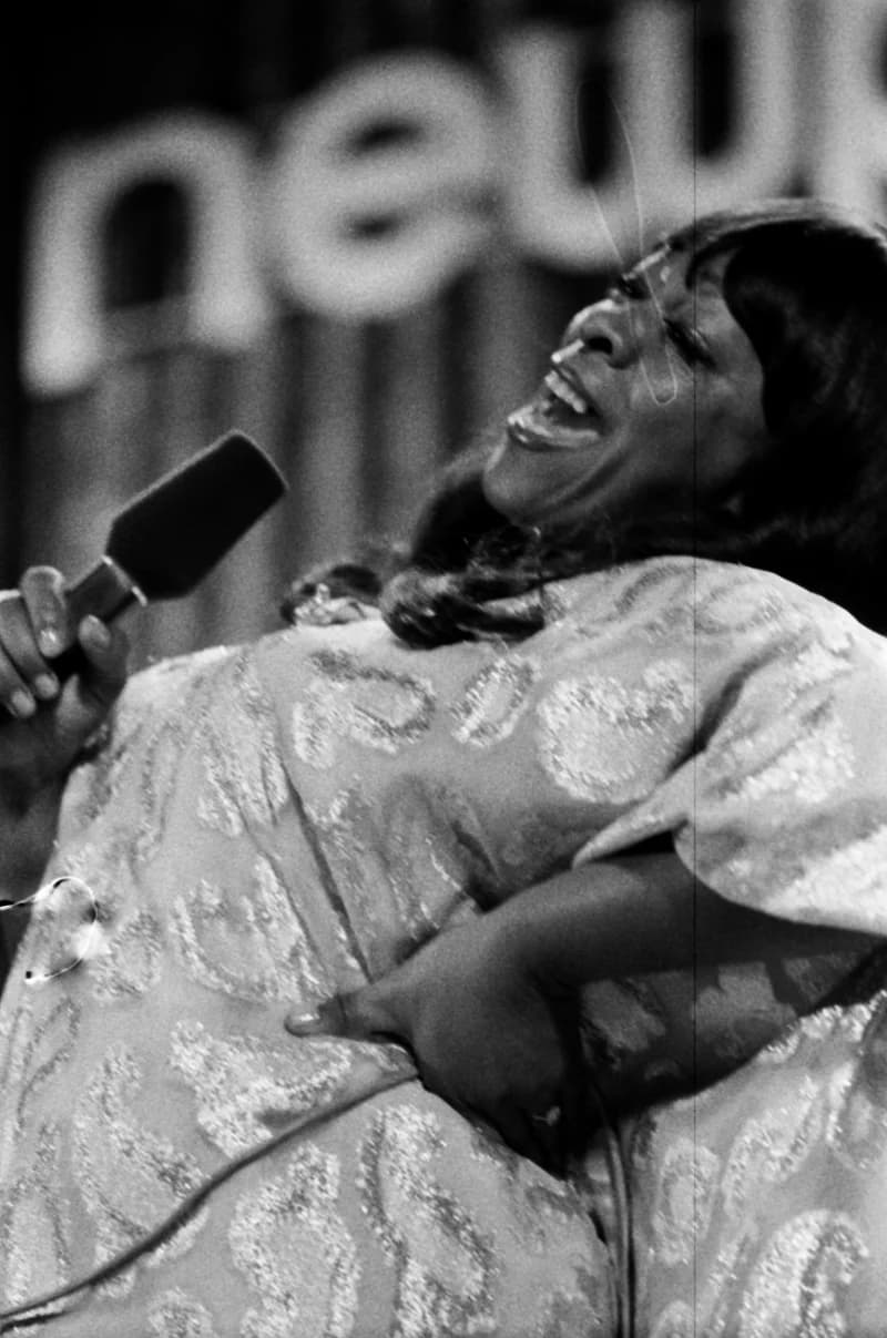 Newport /Jazz Festival/