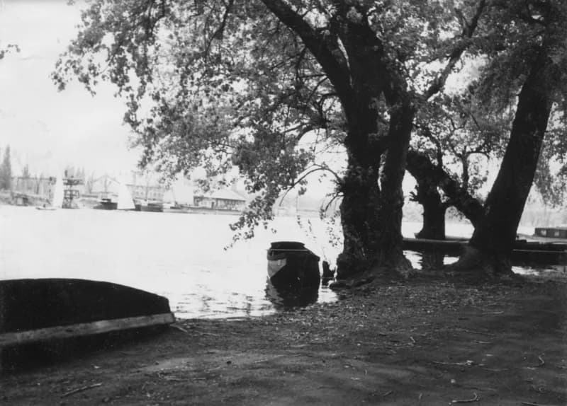 Az újvidéki horgásszigetről