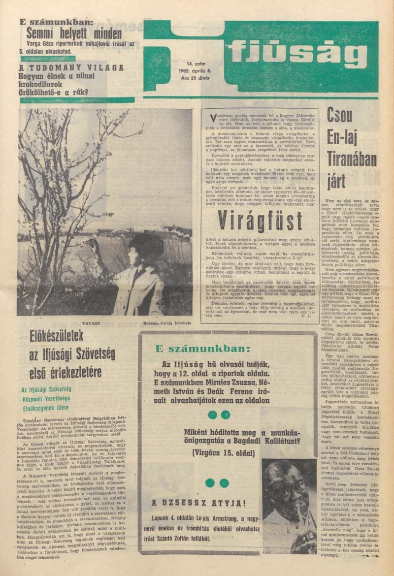 Ifjúság, 21. évf. 1965. április 8. 14. sz.