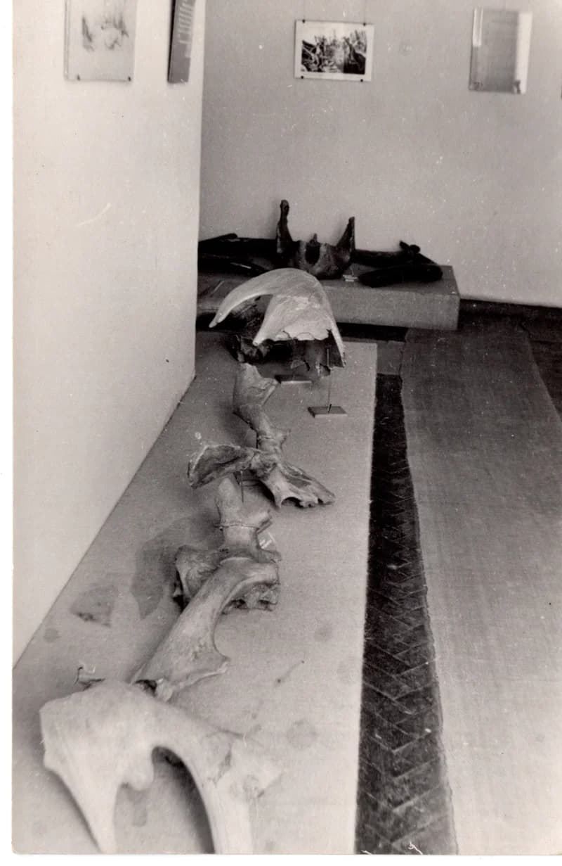 Kiállításrészlet - régészet