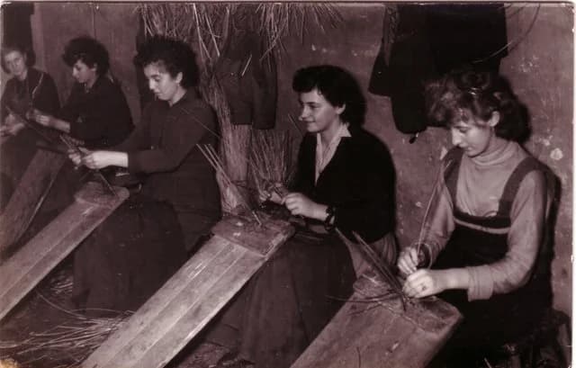 Kosárfonók a munkapadnál