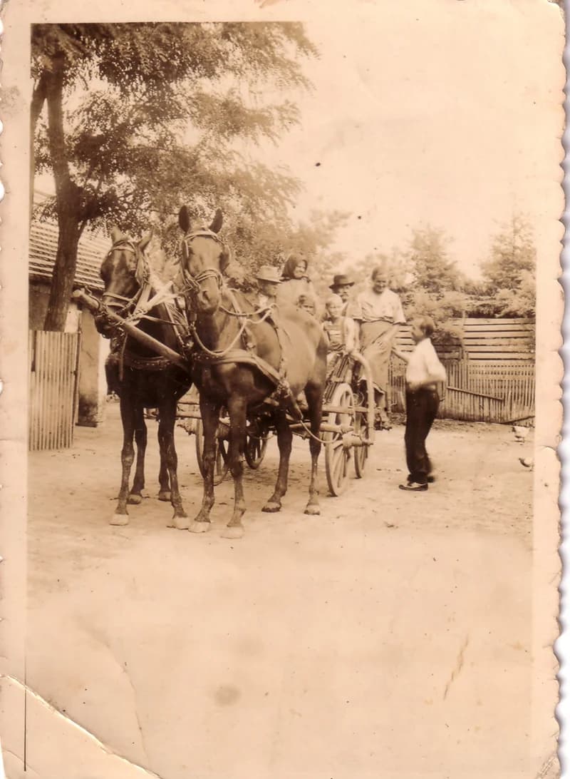 Lovas kocsival indul a család