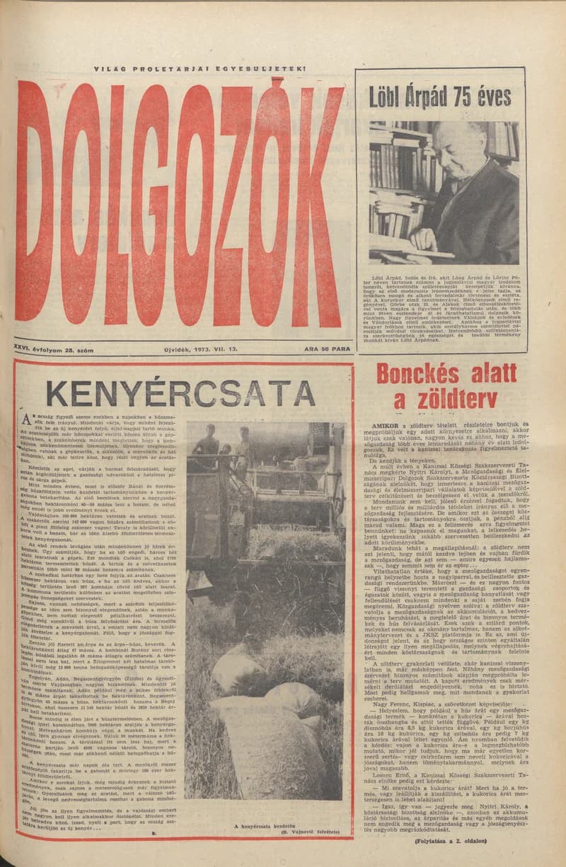 Dolgozók, 27. évf. 1973. július 13. 28. sz.