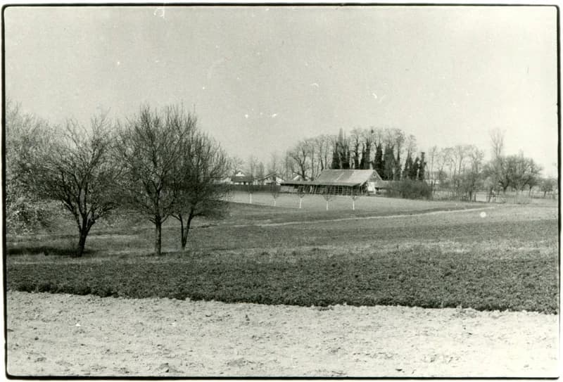 Temerin - tanya a Kutyaluk végében