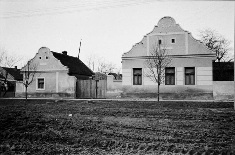 A Bartók Béla Művelődési Egyesületben