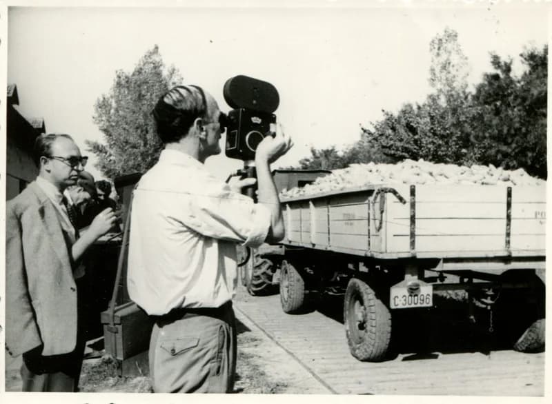 Brezsán Gyula munkája