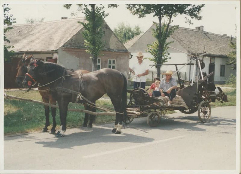 I. hertelendyfalvi Arató Napok