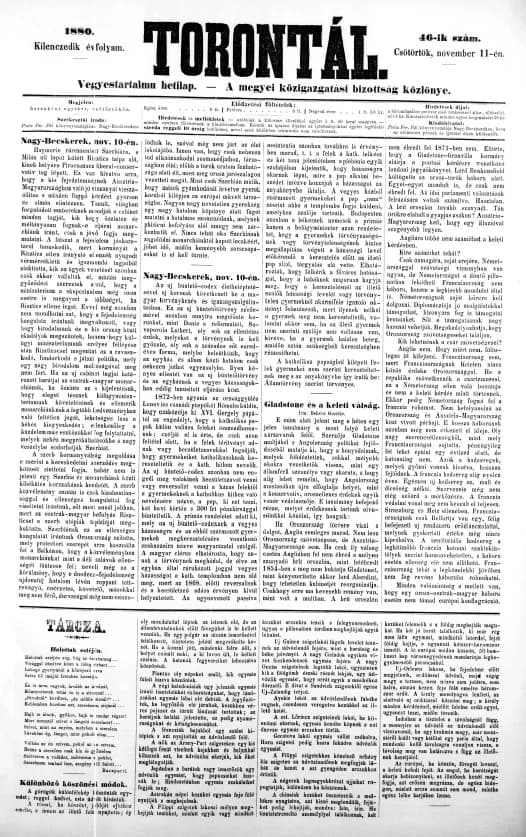 Torontál, 9. évf. 1880. november 11. 46. sz.