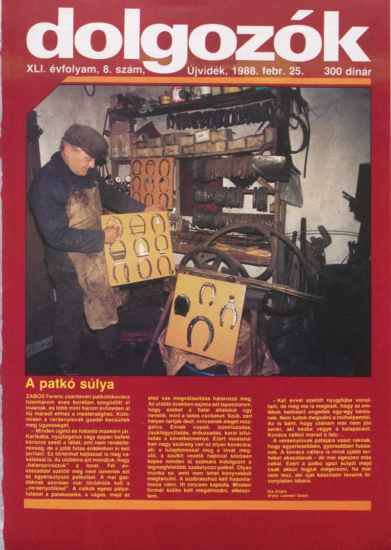 Dolgozók, 42. évf. 1988. február 25. 8. sz.