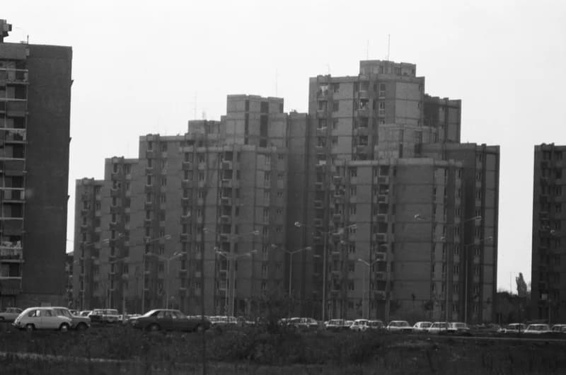 Újvidék, Liman városnegyed