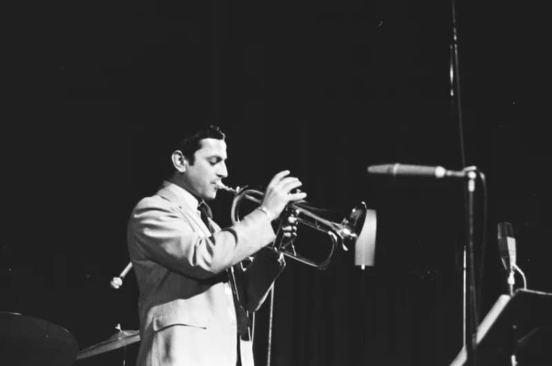 Maynard Ferguson koncert