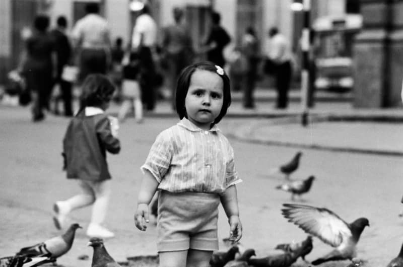 Gyerekek Újvidék utcáin