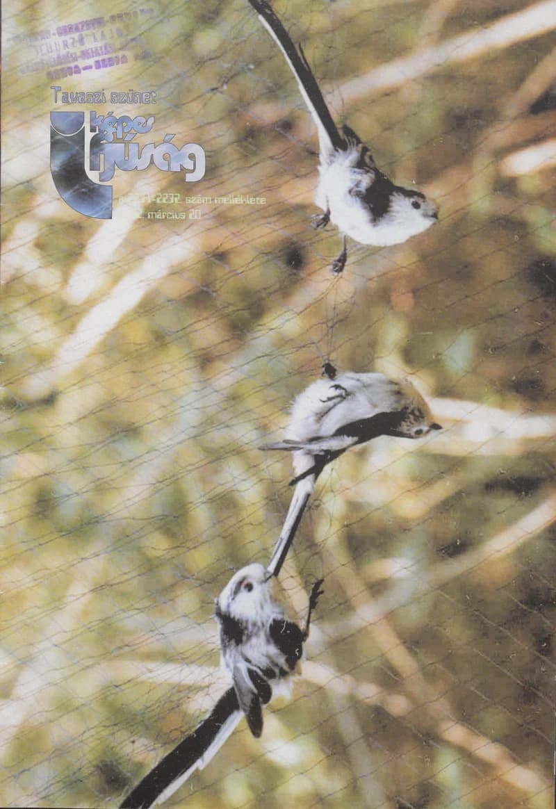 Képes Ifjúság, 58. évf. 2002. március 20. 2231–2232. sz.