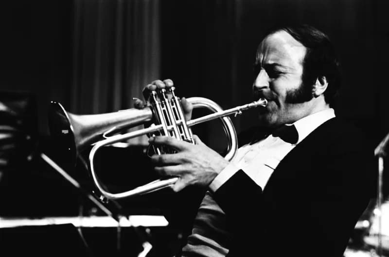 Duško Gojković és bandája