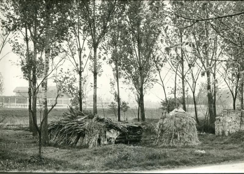 Verbászi csatornán