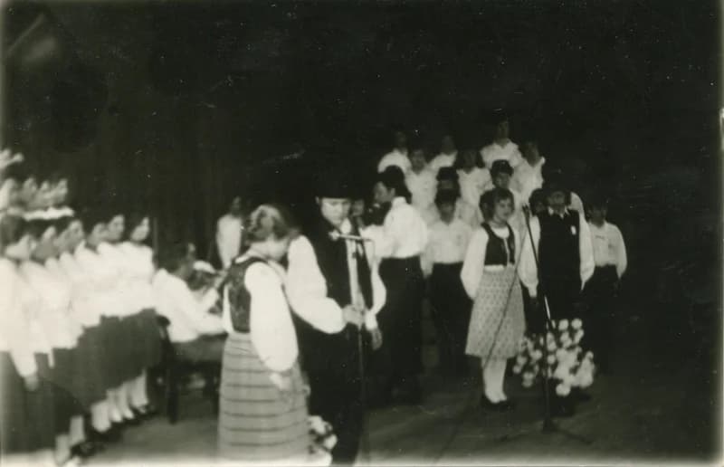 IV. Dél-bánáti Szemle