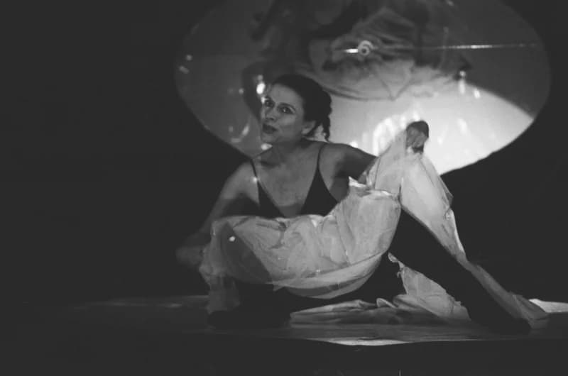 Tolnai: Izéke homokozója, Bayer II.