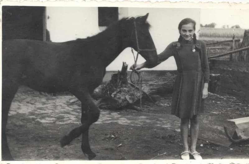 Kislány kiscsikóval