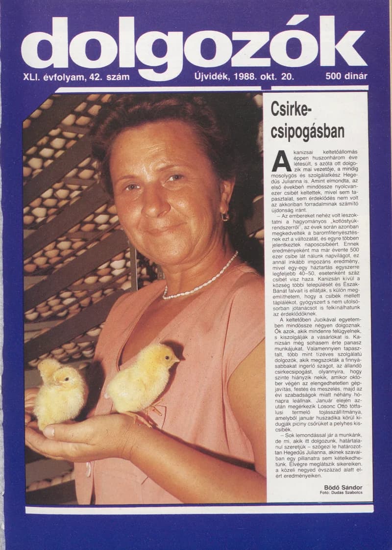 Dolgozók, 42. évf. 1988. október 20. 42. sz.