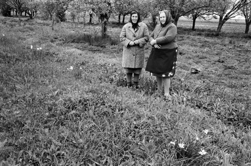 Borbély Mihály nyomában