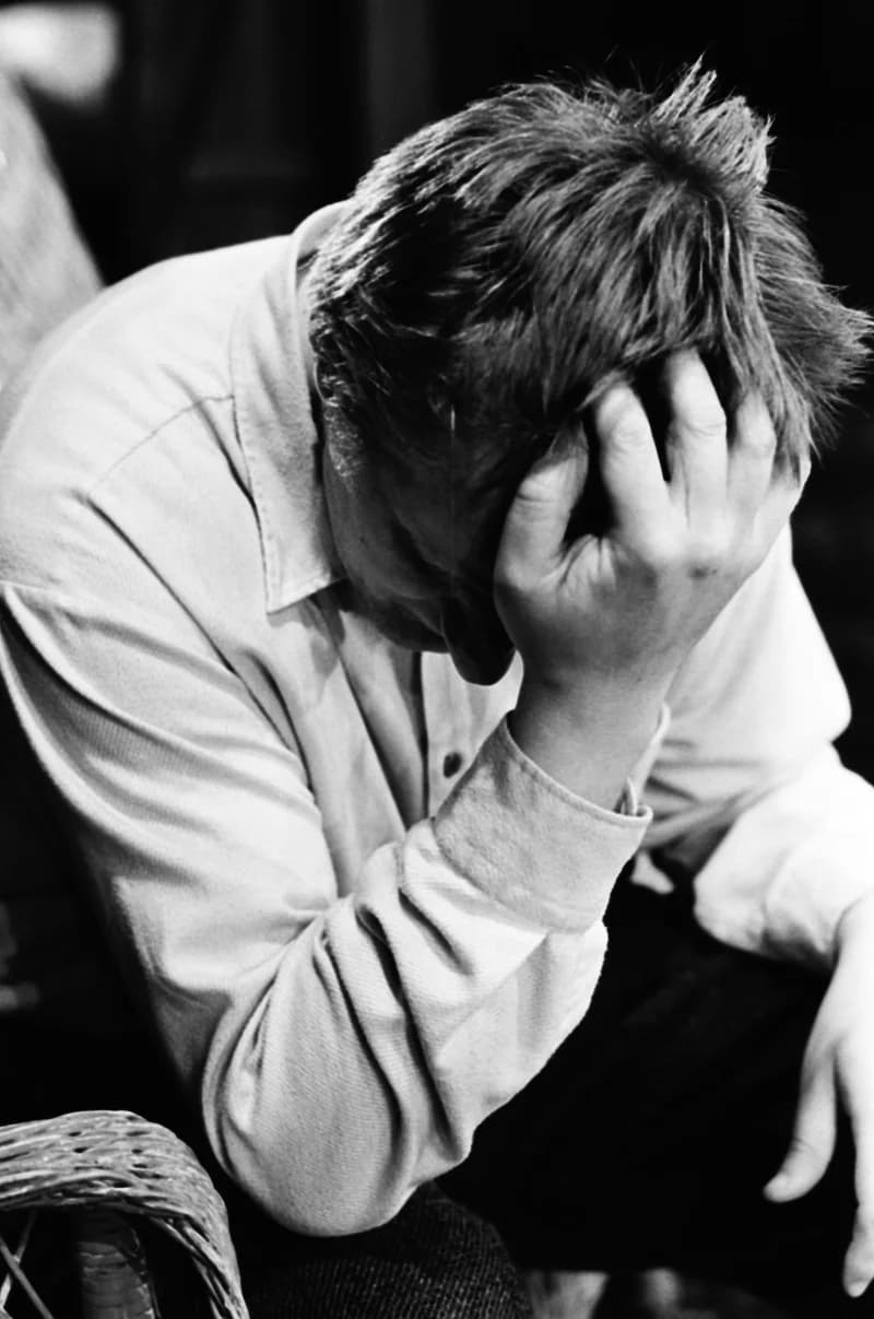 Henrik Ibsen : A hazaáruló