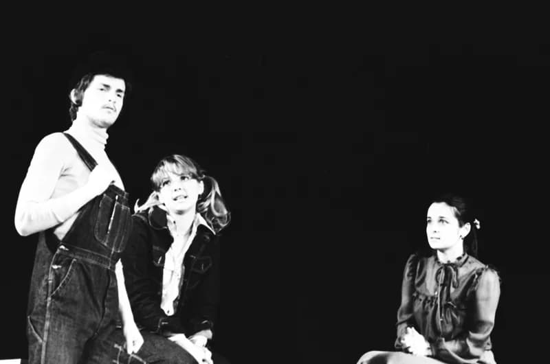 Középiskolások Művészeti Vetélkedője '80 (újvidéki zónadöntő)