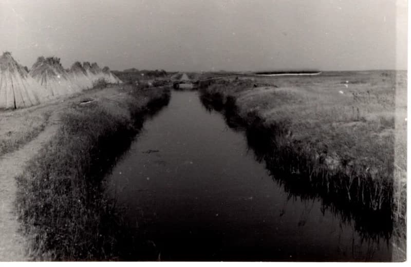 Az écskai halgazdaság - főkanális