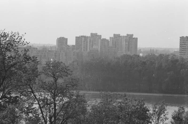 Újvidék, Liman városnegyed