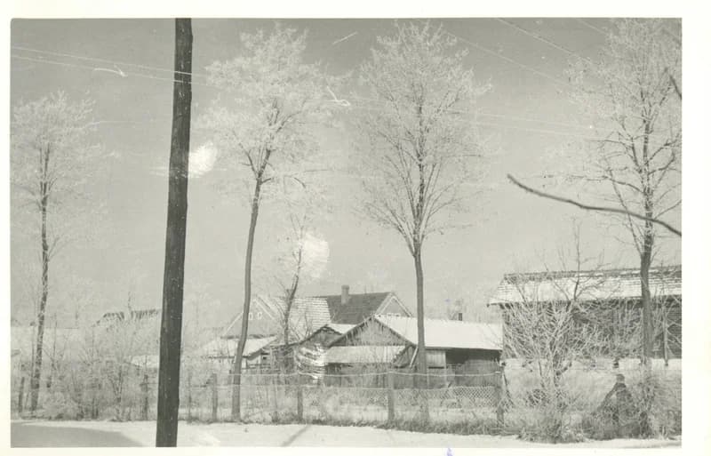 Az állatorvosi állomás körül