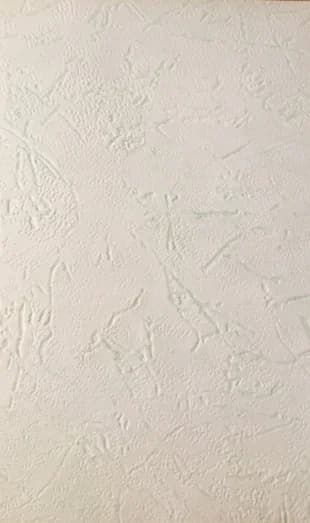 Ich kritzelte das Akazienwäldchen in mein Heft 