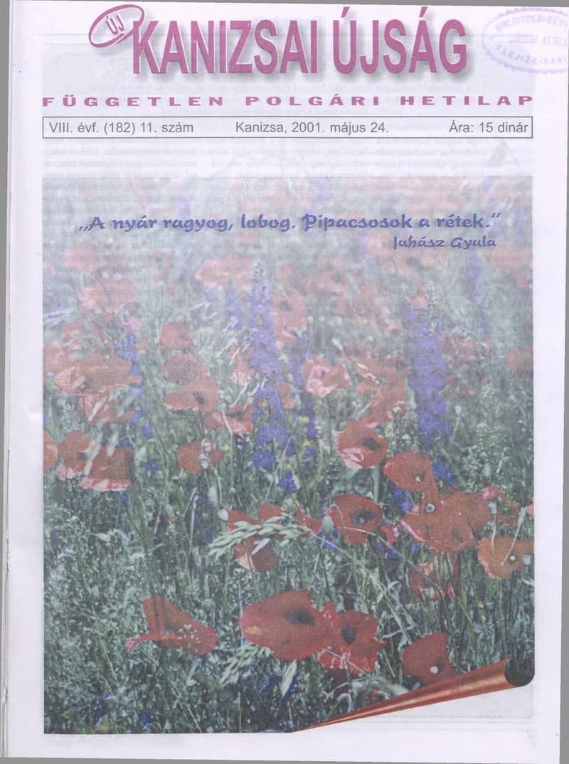 Új Kanizsai Újság, 8. évf. 2001. május 24. 11. sz.