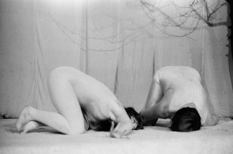 A. Miller: A világ teremtése, Újvidéki Színház bemutató