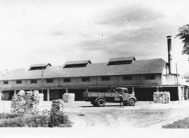 Az új Téglagyár Temerinben