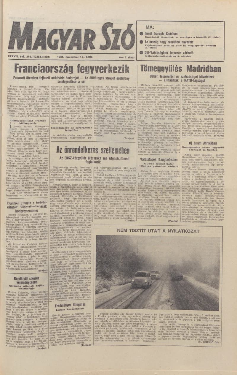 Magyar Szó, 38. évf. 1981. november 16. 316. sz.