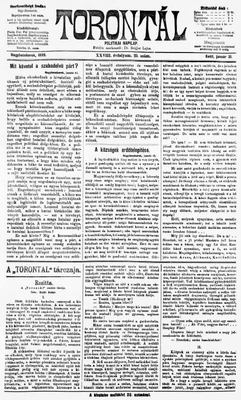 Torontál, 28. évf. 1899. január 31. 25. sz.