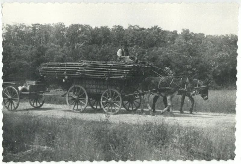 A juhász akoljának szállítása