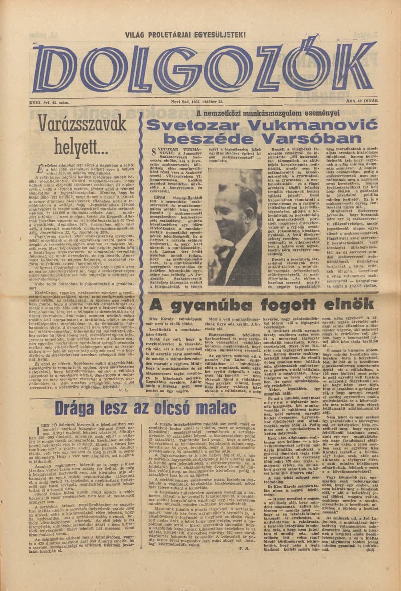 Dolgozók, 19. évf. 1965. október 22. 42. sz.