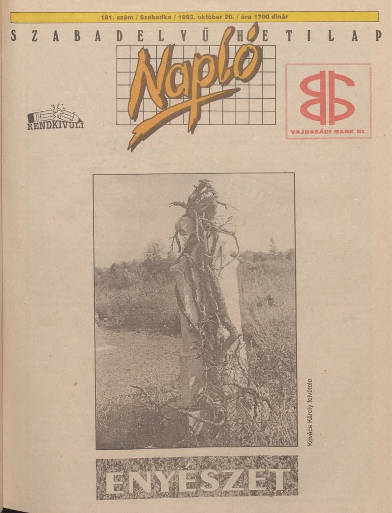 Napló - Szabadelvű hetilap, 4. évf. 1993. október 20. 181. sz.