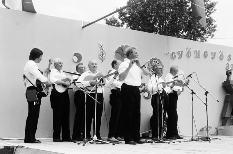 XX. Durindó, Gyöngyösbokréta:  a Tmemerini Tizesbanda