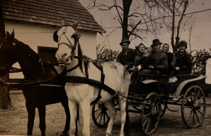 Barátok és rokonok a lovaskocsin 